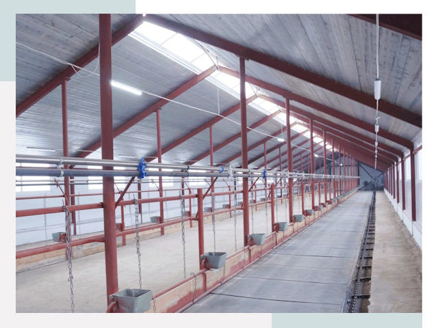 Строительство коровников в Обнинске от 609 руб.