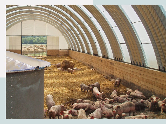 Строительство свинарников в Обнинске