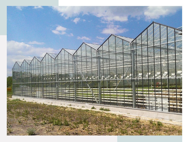 Строительство теплиц в Обнинск от 609 руб. за м²